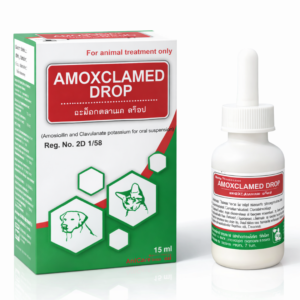 AMOXCLAMED DROP