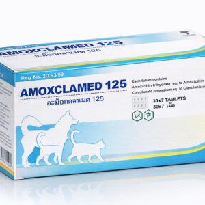 AMOXCLAMED 125