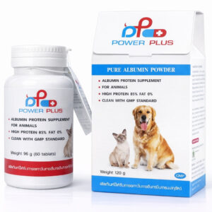 Pure Albumin Powder