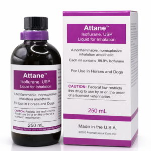 ATTANE