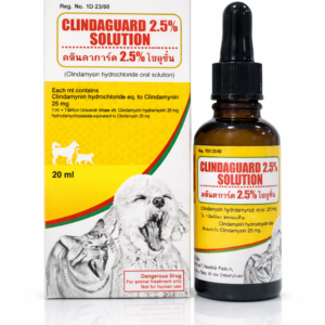 CLINDAGUARD 2.5% SOLUTION (Clindamycin Oral Solution)