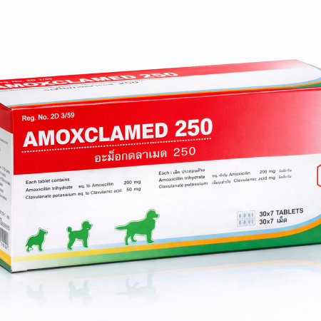 AMC250